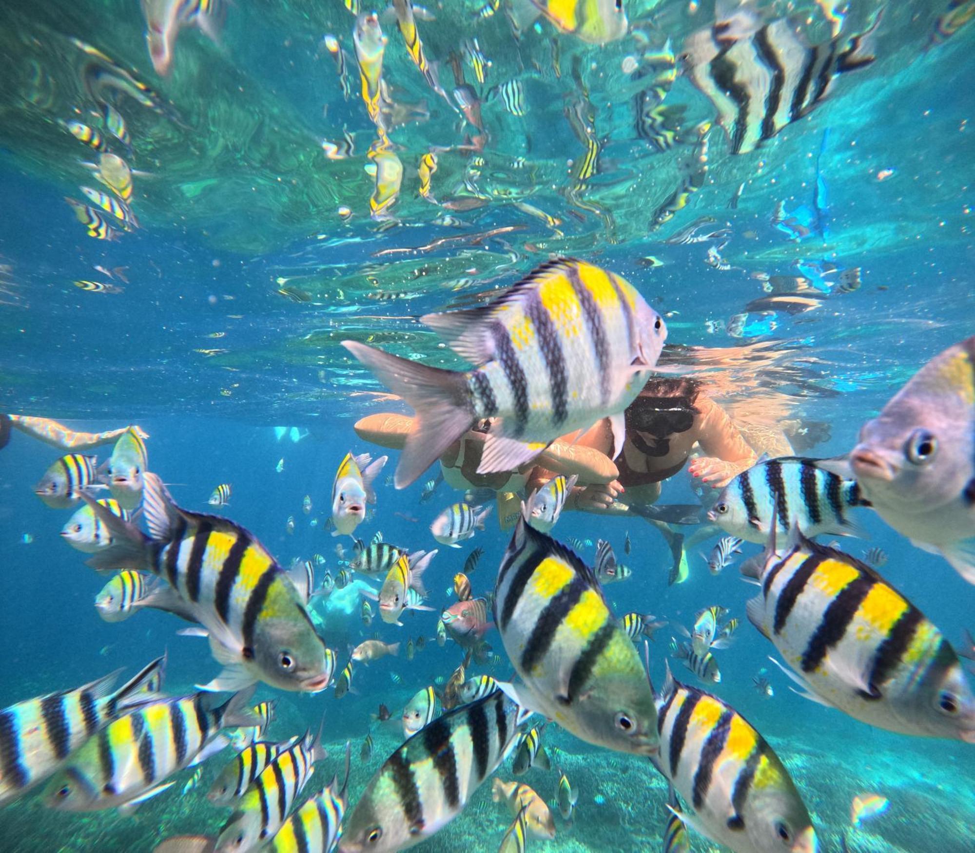 Unzipp Bungalows Gili Air Esterno foto